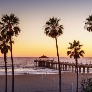 Meet your Posher, Owen